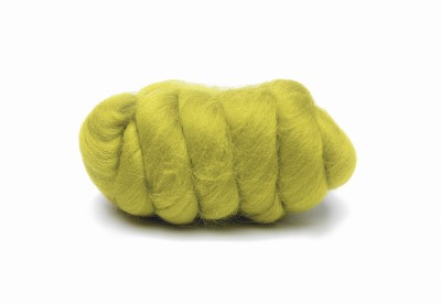 gooseberry.JPG