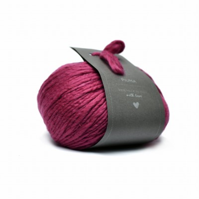 Piuma Raspberry.JPG