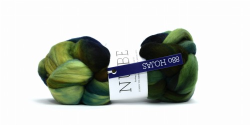 Nube 880 Hojas.JPG