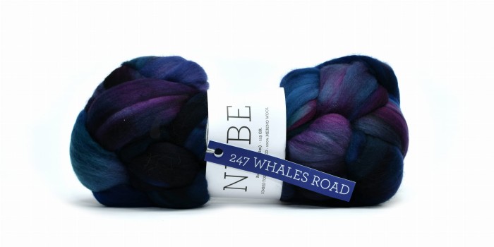 Nube 247 Whales Road.JPG