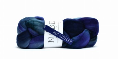 Nube 856 Azules.JPG