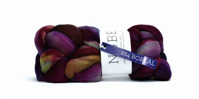 Nube 884 Boreal.JPG