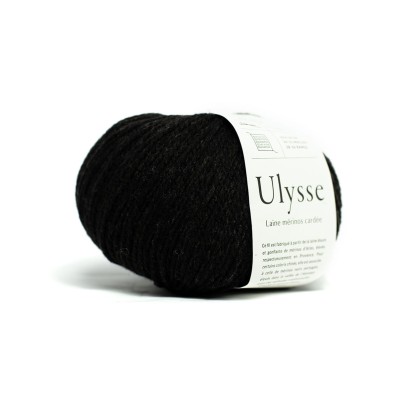 Ulysse 3@0,3x.jpg