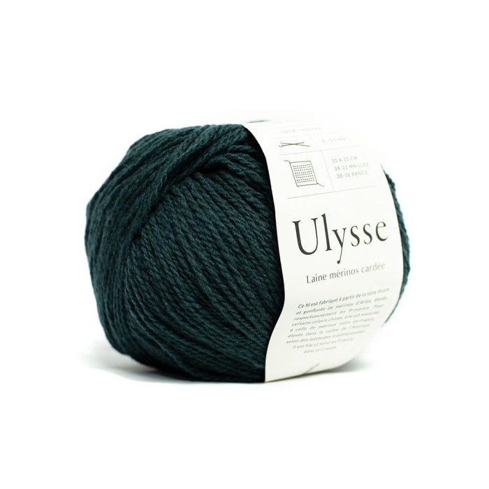 Ulysse 1@0,25x.jpg