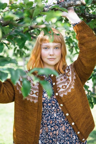 Worsted_NadiaCretinLechenne_Azucena_Cardigan.jpeg