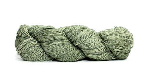 347 Jasmine@0,25x.jpg