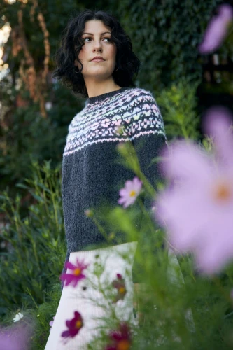 Knits from the LYS_CarawayYoke-2.jpeg