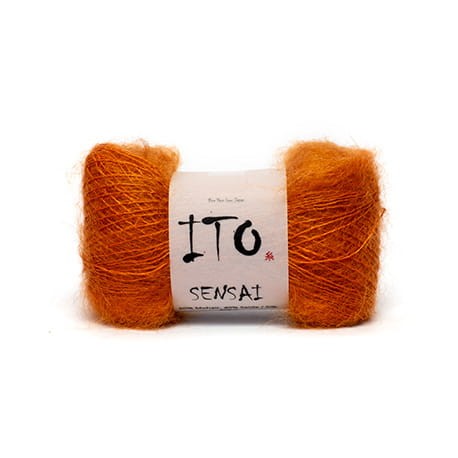 310 Carrot@0,1x.jpg