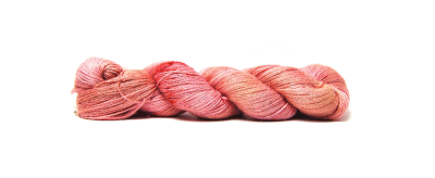 Tea Rose.JPG