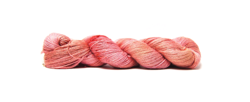Tea Rose.JPG